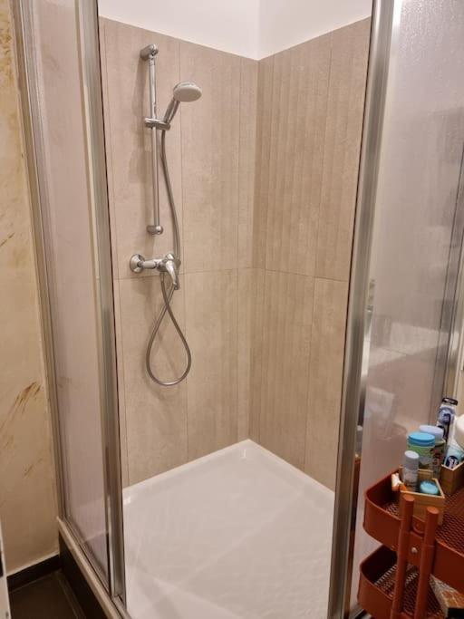 Sissi Royal Suite - Inner City 4 Bedroom Apartment Wien Eksteriør billede